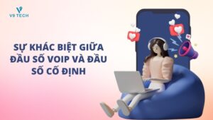 dau so voip